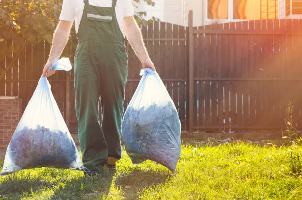 Best Shed Removal  in Mays Landing, NJ